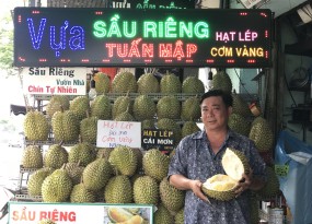 SẦU RIÊNG TUẤN MẬP