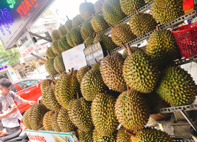 SẦU RIÊNG HẠT LÉP