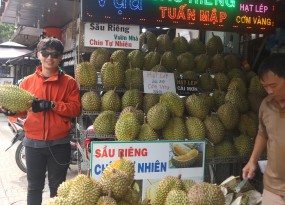 SẦU RIÊNG CÁI MƠN BẾN TRE