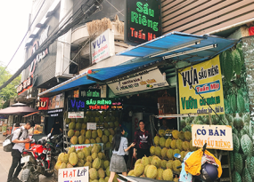 SẦU RIÊNG TUẤN MẬP TÂN BÌNH