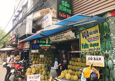 SẦU RIÊNG TUẤN MẬP TÂN BÌNH